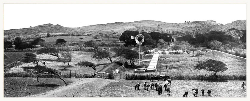 Plantation during the slavery era